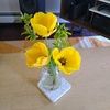 rosegarden243